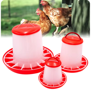 Mangeoire Automatique pour Poules – Pratique et Ajustable
