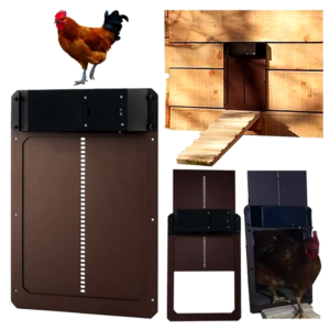 Porte Automatique pour Poulailler – Sécurité et Confort