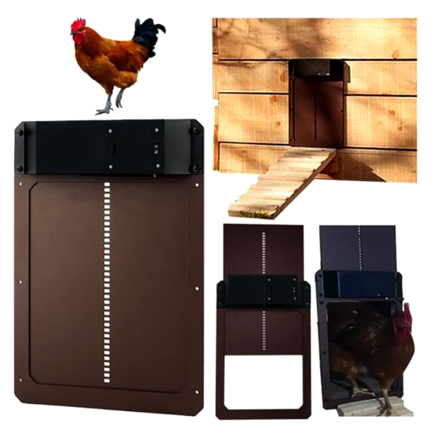 Porte Automatique pour Poulailler – Sécurité et Confort